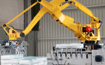 DKR ROBOT PALLETIZING SOLUTION