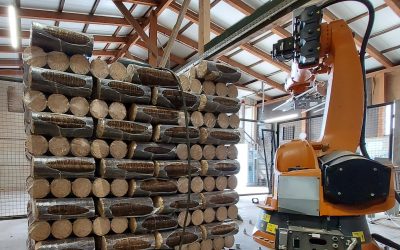 EXAMPLE FROM THE INDUSTRY: ROBOTIC SYSTEM FOR PALLETIZING IMPLEMENTED AT CLIENT’S